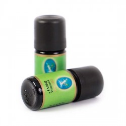 Servi Yağı - Organik 5 ml